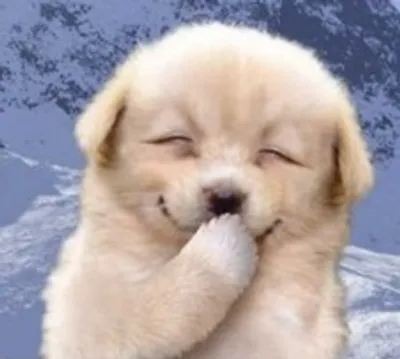 Illustration flip - Image 2