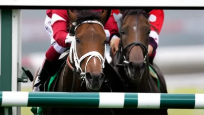 Illustration nose - Image 1