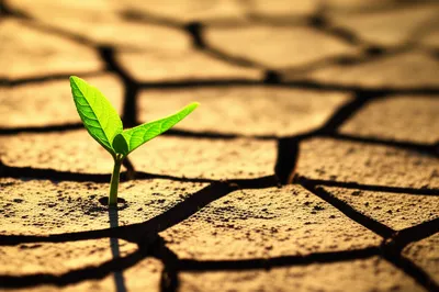 Illustration restarting