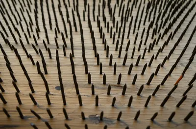 Illustration nail - Image 1