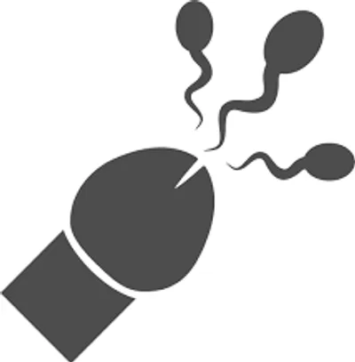 Illustration ejaculation - Image 2