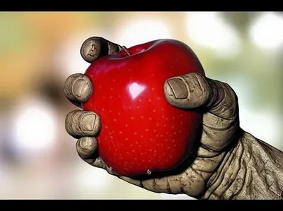 Illustration shrinks - Image 1