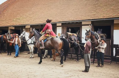 Illustration posted - Image 1