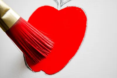 Illustration ter - Image 1