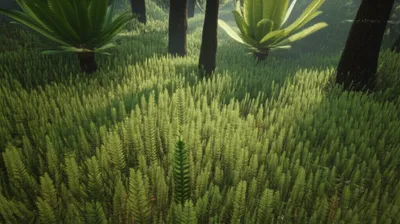 Illustration lycopods - Image 1