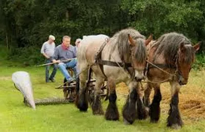 Illustration draught - Image 2