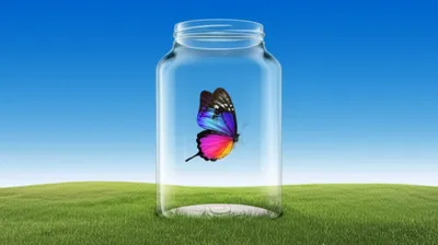 Illustration surrounds - Image 1