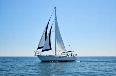 Illustration fill - Image 1