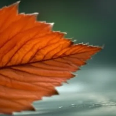 Illustration quaver - Image 1