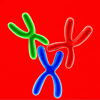 Illustration trivalent