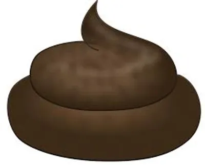 Hình ảnh minh họa stool - Ảnh 2