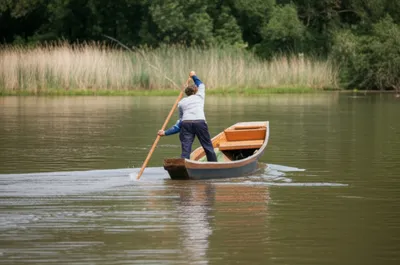 Illustration shoves - Image 1