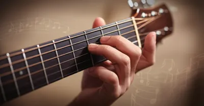 Illustration frets - Image 1