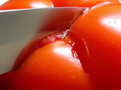 Illustration serrated - Image 1