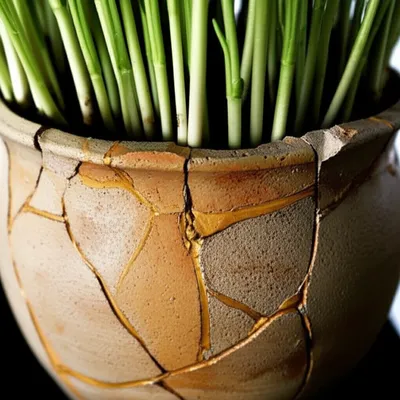 Illustration repaired