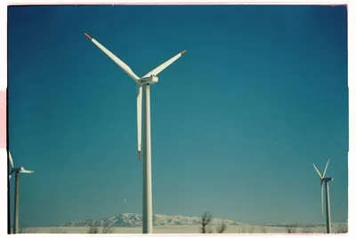 Illustration generators - Image 2