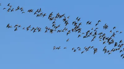 Illustration regroup - Image 1