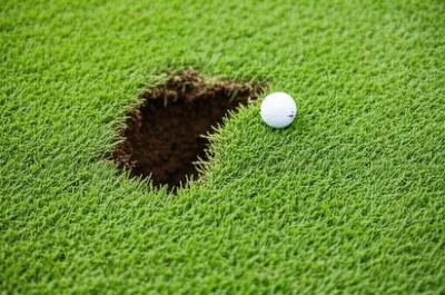 Illustration divot - Image 1