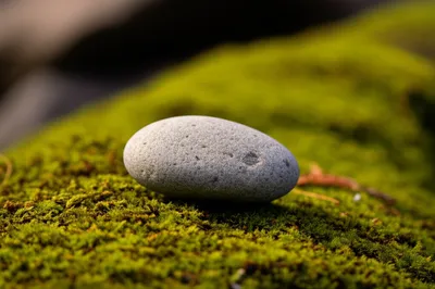 Illustration soften - Image 1