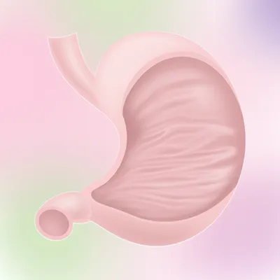 Illustration smoothest - Image 1