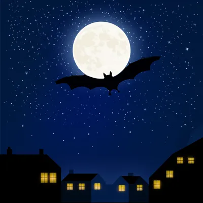 Illustration nightly