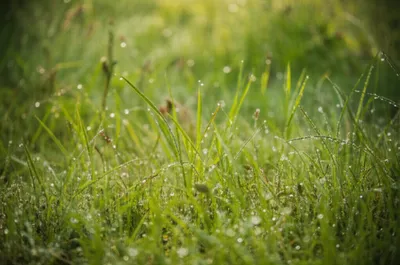 Illustration dag - Image 1