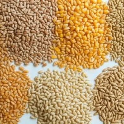 grain