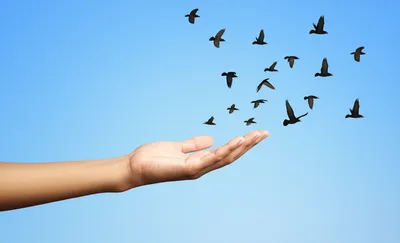 Illustration wields - Image 1