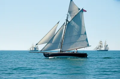 Illustration pinnace - Image 1