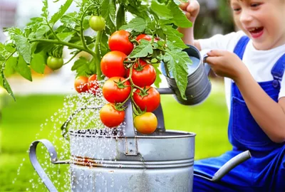 Illustration reusing