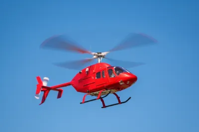 Illustration whirring - Image 1