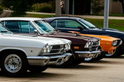 Illustration mid - Image 1