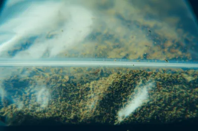 Illustration shake - Image 1