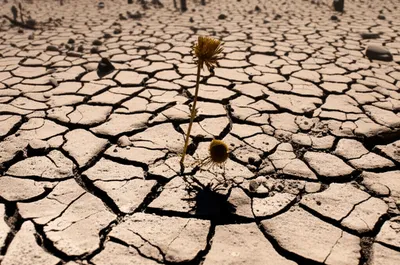 Illustration sterile