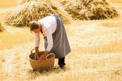 Illustration glean - Image 1