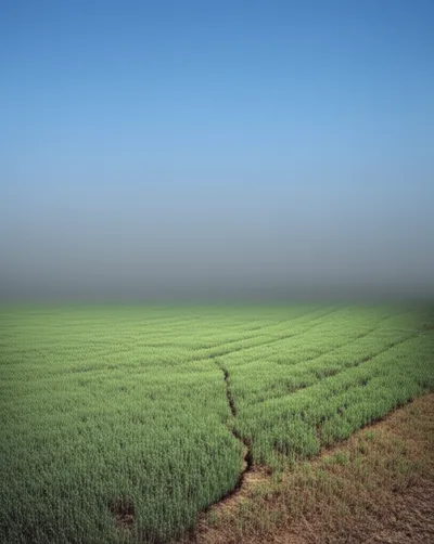 Illustration seeps - Image 1