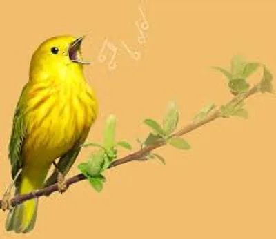 Illustration song - Image 3