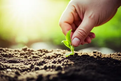 Illustration dee - Image 1