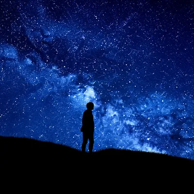 Illustration muse - Image 1