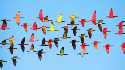 Illustration deviating - Image 1