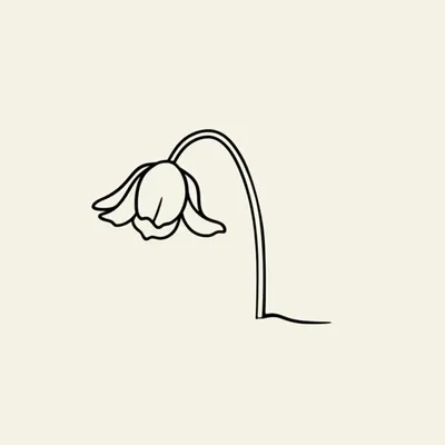 Illustration soft - Image 1