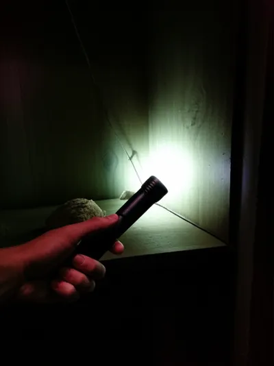 Illustration shine - Image 1