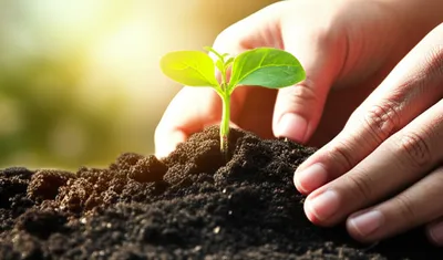 Illustration credited - Image 1