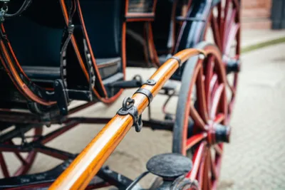 Illustration fill - Image 1