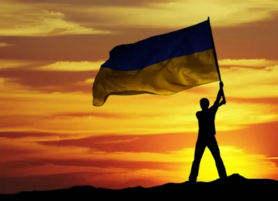 Illustration flourishes