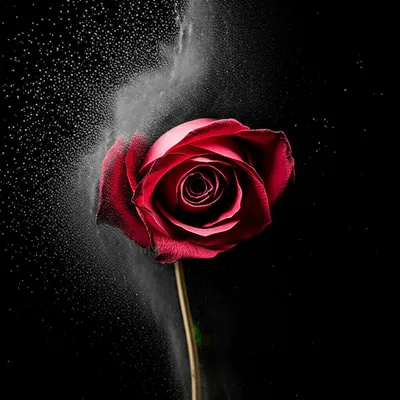 Illustration destructed - Image 1