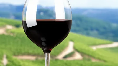 Illustration tent - Image 1