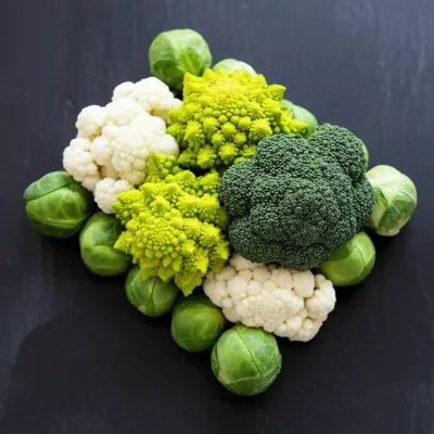 Illustration cruciferous - Image 1