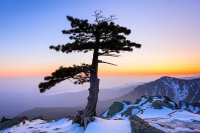 Illustration mountaintop - Image 1