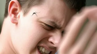 Illustration harassing - Image 1